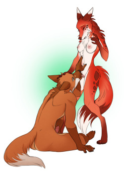 furry-sex-slave:  awolthefox:  Straight cunnilingus as requested♥