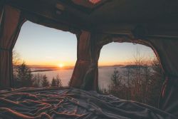 Lover of Life