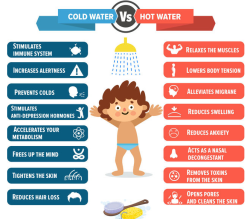 allevallie: lifehackhealth:  cold water vs hot water showers!Â 