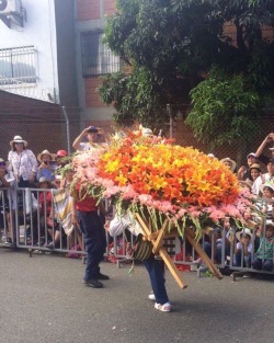 #feriadeflores2017 #desfiledelossilleteros #medellin