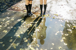 kibouteki:  untitled by Chelsea.G on Flickr. 