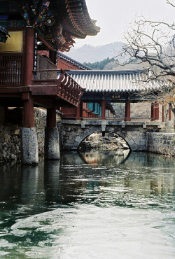 lovesouthkorea:  Songgwangsa by h_carpediem
