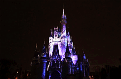 fairytaleasoldastime:  Magic Kingdom - Celebrate the Magic Holiday