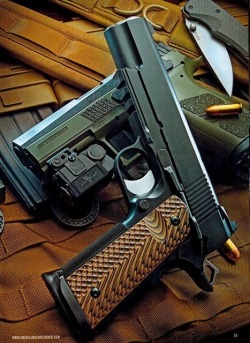 gunsknivesgear:  Dan Wesson Specialist. Notice the accessory