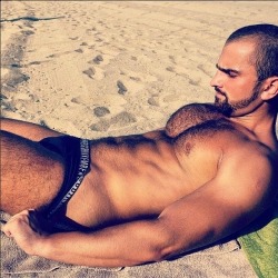 The two hairy men blogs: http://sambrcln.tumblr.com http://hairysex.tumblr.com
