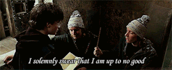 Texts of Harry Potter