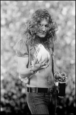 longhairfordays:  Robert Plant  Robert got a lot of mileage out