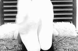 Foot GIFs