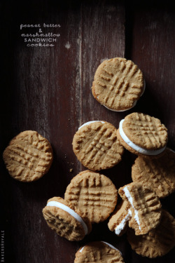 gastrogirl:  peanut butter and marshmallow sandwich cookies.