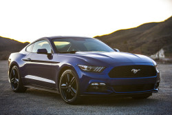 automotivated:  Backlit 2015 EcoBoost Mustang by BrandanGillogly