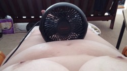 miss-maela:  It’s hot out today. I love my fan.