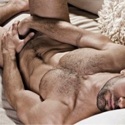 Perfect Hairy Man