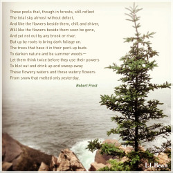 llbeanpr:  Happy Birthday Robert Frost 