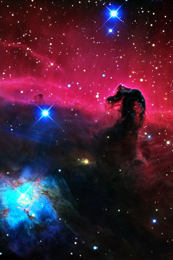 weareallstarstuff:  Horsehead Nebula