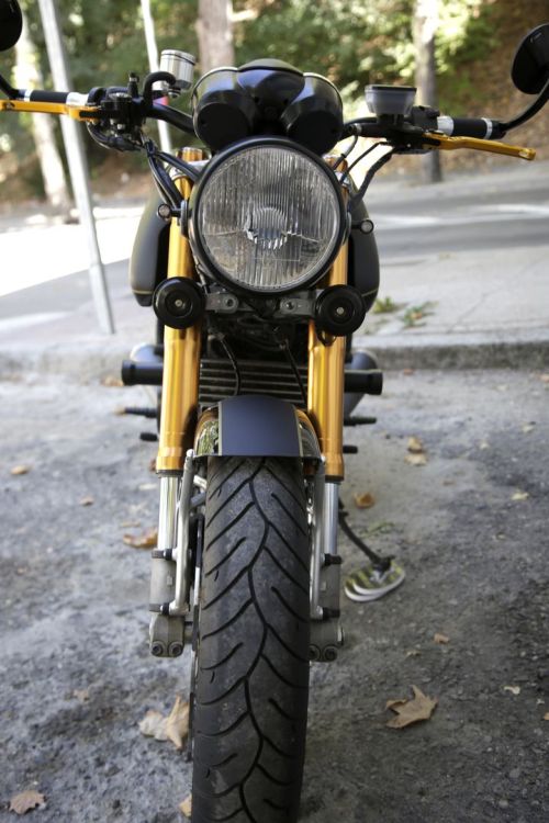 caferacerpasion:  ðŸ† Black & Gold, Ducati GT1000 â€ªBrat Styleâ€¬ by Nitrocycles.Muy guapa la personalizaciÃ³n de esta â€ªDucatiâ€¬ con toques racing y elegantes.http://www.caferacerpasion.com/ducati-gt1000-brat-style-nitro-cycles/