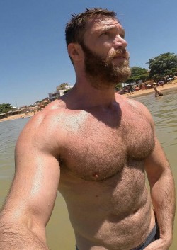 hairy nice men