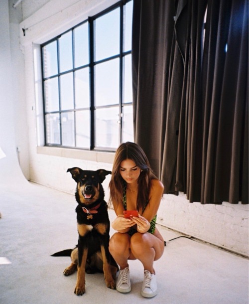 emily-ratajkowski-inspired:  //