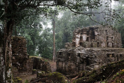 sebeb:Yaxchilán :: selva lacandona by shananeira on Flickr.