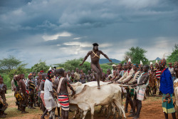 Okouli ceremony. Hamer tribe. Omo valley. Ethiopia, by Georges Courreges.  