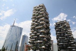 digitalramen:  Stefano Boeri’s Bosco Verticale towers in Milan
