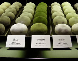 pandas-go-moomoo: Mochi Cream shop [Shibuya] by Deborah Austin