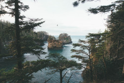 imbradenolsen:Cape Flattery, WA  Ugh I want to get out there