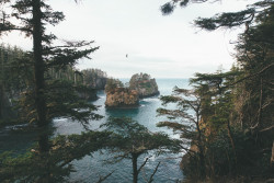 woodfawn: imbradenolsen:  Cape Flattery, WA  x   So many gorgeous