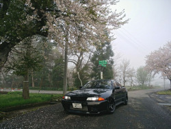 日本国内の自動車