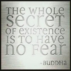 etoile-photo:  #buddha #nofear #secret #success #quotes #justsaying