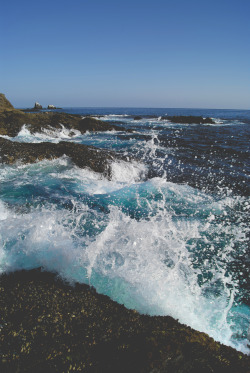 northwezt:  Laguna Beach | California ➤ Alesha Brown (northwezt)