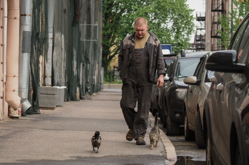 russiawave:the tire worker saved the cat and the crow and now