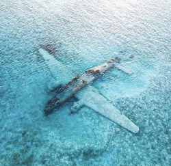 enrique262:  Curtiss C-46 Commando wreck in the Bahamas. Usually