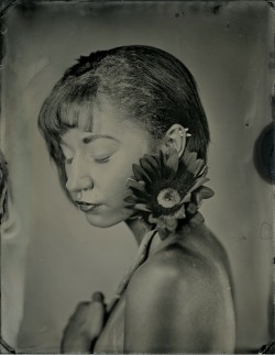 brookelabrie:  Cassie // with sunflower4x5 tintype // with assistant