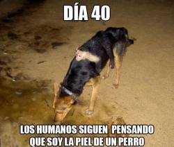 MINIGAG