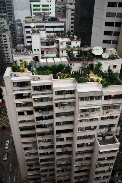 pprodigal:  Roof-top garden. Wan Chai, Hong Kong 