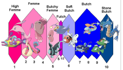 whackermanjunior:  fish pokemon butch-femme scale featuring the