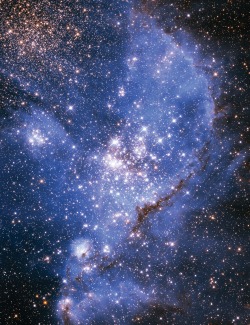 astronomicalwonders:  Star Birth in NGC 346 NGC 346 is the brightest