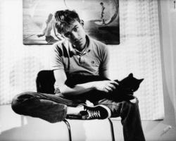 musicians-with-cats-blog:Damon Albarn with cat
