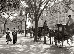 gameraboy:Cab stand at Madison Square, 1900. (via Shorpy Historical