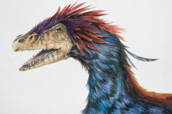 destroyeverythingbefore:  Velociraptor My first attempt at scientific