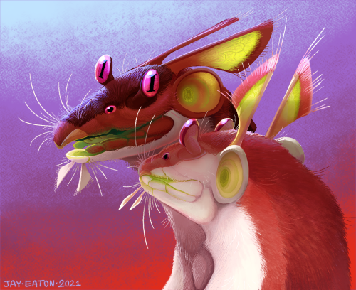 jayrockin: Pinkie and Brownie, an unusually small bug ferret