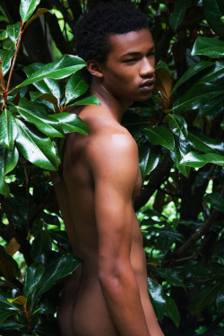 beholdthebeautiful:  Jamier Boatman-Harrell by Frederic Cisneros