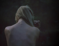 untitled by Heiner Luepke 