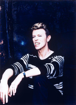 las3nochesdeeva:  David Bowie