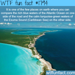 wtf-fun-factss:  Where the Caribbean sea and the Atlantic meet