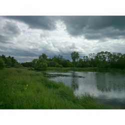 #Footpath. #WildLife 4  Near #PalacePark, Teplaya #river, #Gatchina