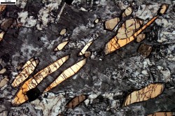 ifuckingloveminerals:  Vesuvianite, Albite  Ice River Alkaline
