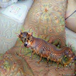 argonautique:  When a Deep Dream turns into some kind of nightmare.