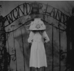 disney-in-the-dark:  ~Welcome to Wonderland my darlings~