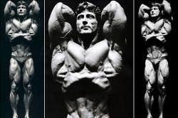 sweatmorebleedless:  aaah frank zane 